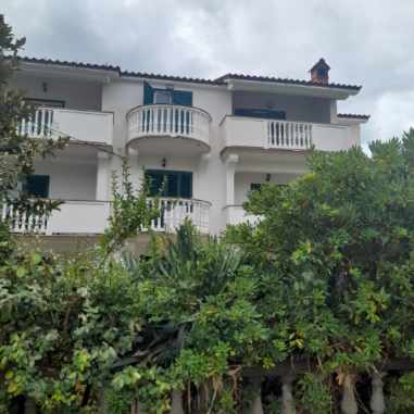 Resized_20240819_080301 Resized_20240819_080301